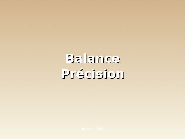 Balance de précision grand 0 à 100gk